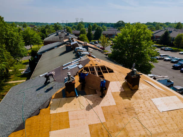24/7 Emergency Flat Roof Repair experts in Davey, NE